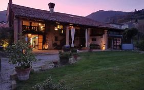 Il Casale Del Vino